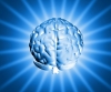 shiny-brain